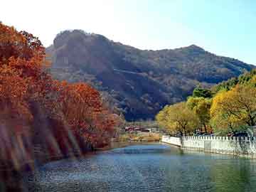 新澳天天开奖资料大全旅游团，小涛